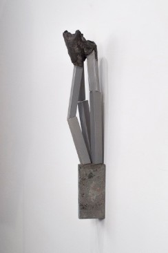 fabrizio prevedello